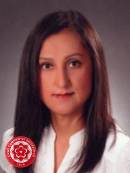 MENEKŞE TAŞ DİVRİK